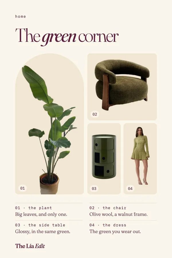 Olive green living room corner with a tall plant, olive armchair with walnut frame, green Kartell Componibili and a green knit dress